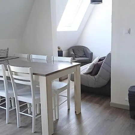 公寓 Cote Et Mer, Duplex 4 A 6 Pers Et Parking *