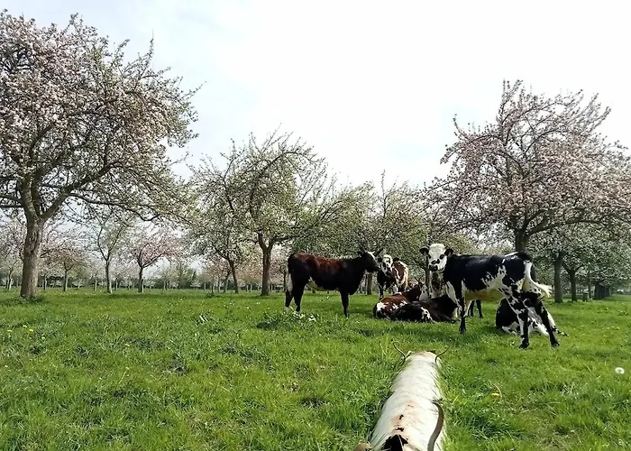 公寓 Cote Et Mer, Duplex 4 A 6 Pers Et Parking *